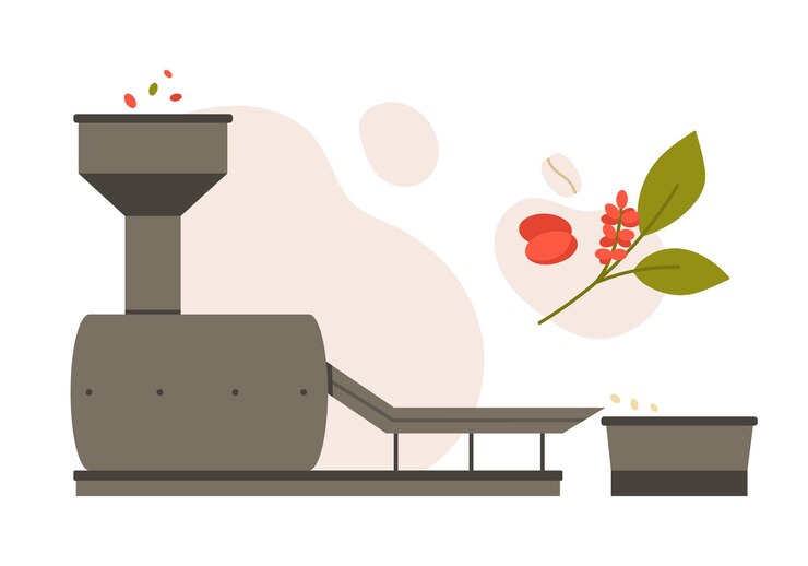 Vector coffee beans processing machine