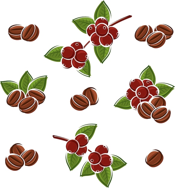 Coffee beans set Vector