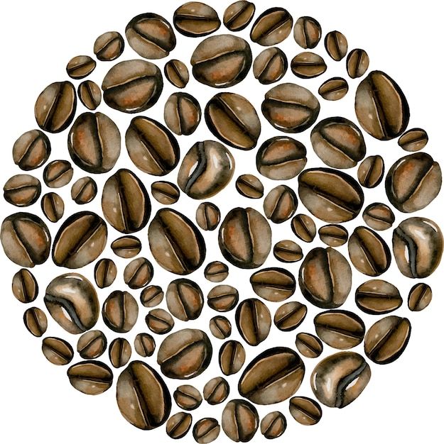 Vector coffee beans