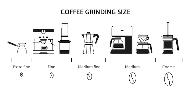 Tabella delle dimensioni della macinatura del caffè guida alla macinazione dei chicchi per diversi metodi di produzione della birra macinatura fine media e grossa illustrazione vettoriale infografica