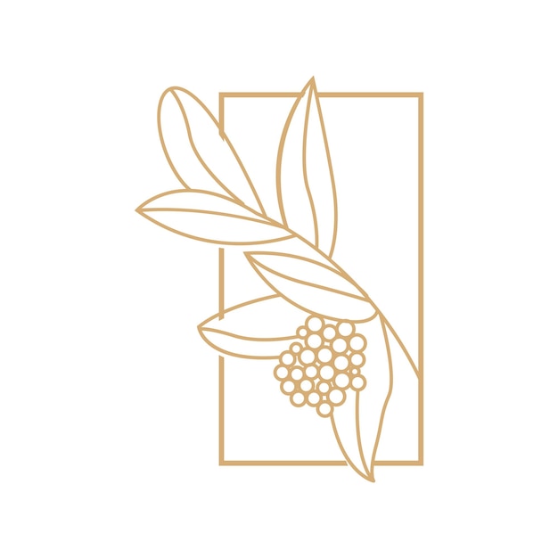 Логотип Кофей Кофейное дерево Дизайн Кафе Питье Вектор Икона Бренд Иллюстрация Символ