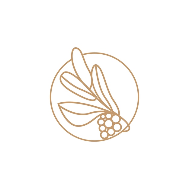 Coffee Logo Design Coffee Tree Drink Vector Template Symbol Illustration