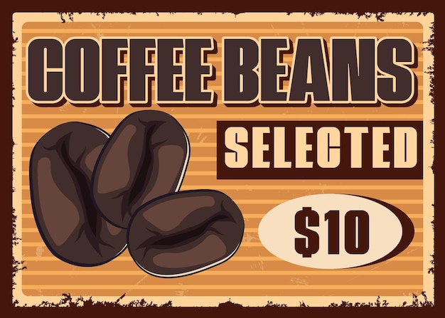 Coffee roasted beans metal sign retro poster vector template