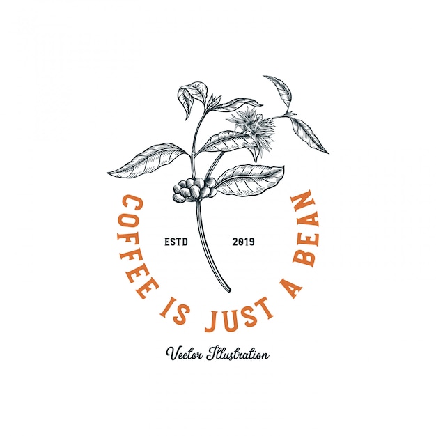 Coffee shop-logo, koffieboom met bloem en bonen voor logo-ontwerp