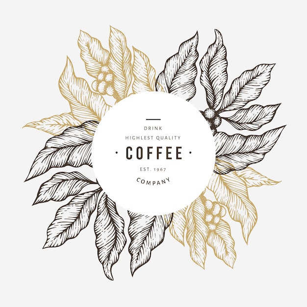 Vector coffee tree branch illustration.