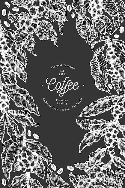 Vector coffee tree branch illustration.