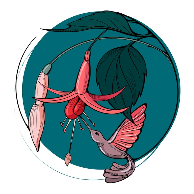 Колибри и растение в круге на темно-синем фоне красочная иллюстрация