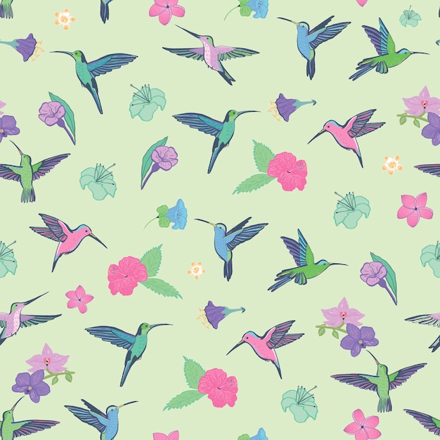 Vector colibri vogeltje met bloemen vector naadloze patroon