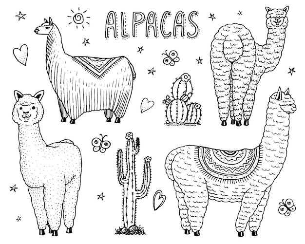 Vector a collage of camels and alpacas from the new year 2010.