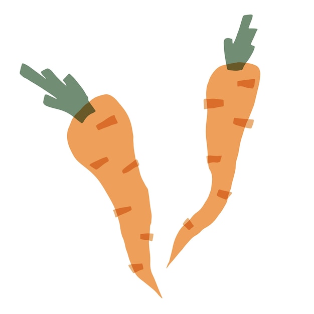 Vector collage illustration of carrots layered set of root vegetables