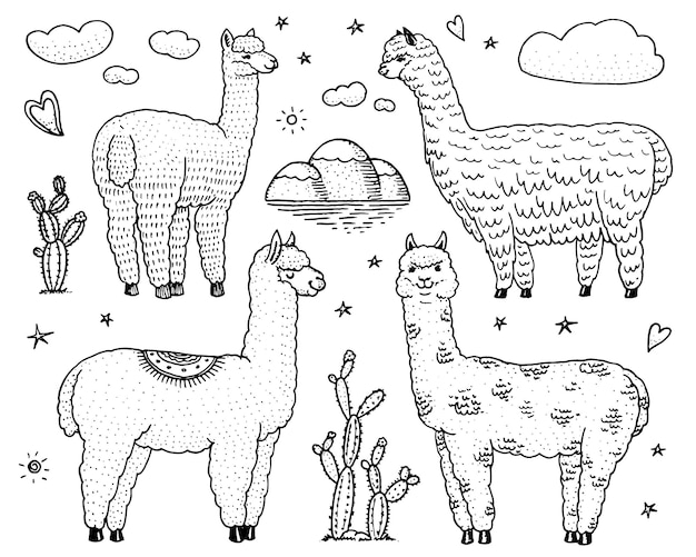 A collage of llamas and cactus