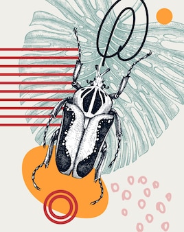 Illustrazione di vettore dello scarabeo golia di stile collage insetto abbozzato su foglia di monstera