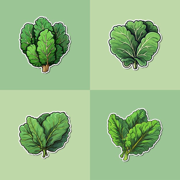 collard greens sticker kawaii cartoon illustration