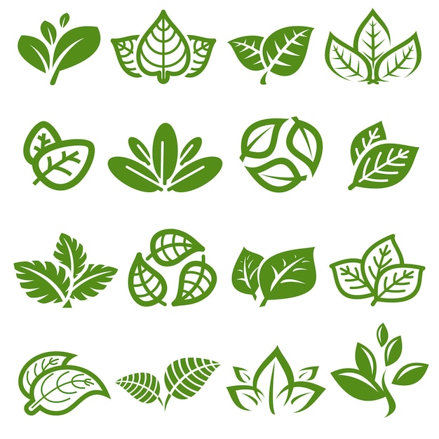 Collectie bladeren set Leafs collectie icoon Vector
