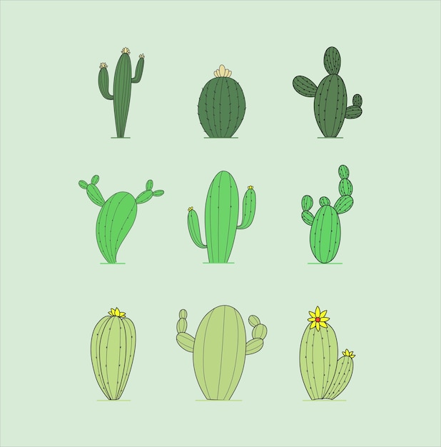 Collectie Cactus Groen met Lichtgroene Achtergrond