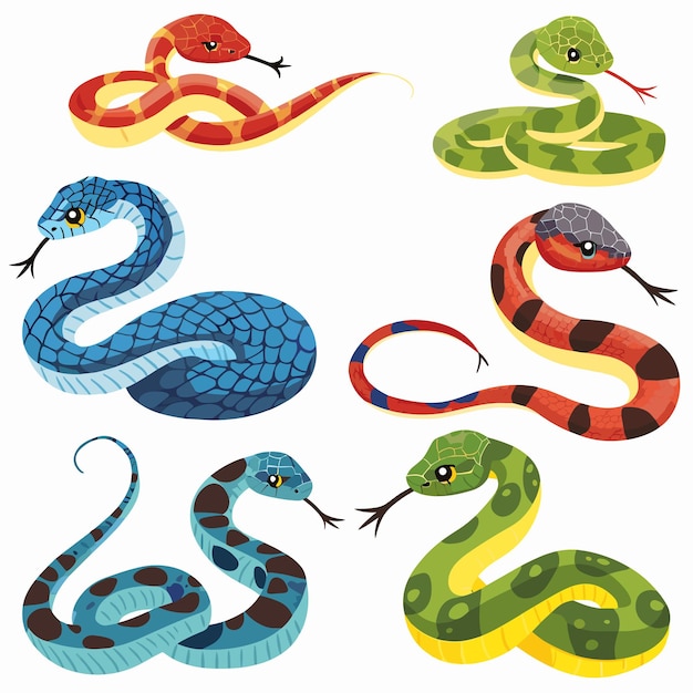 Collectie kleurrijke cartoon slangen vector illustratie geïsoleerd wit verschillende soorten