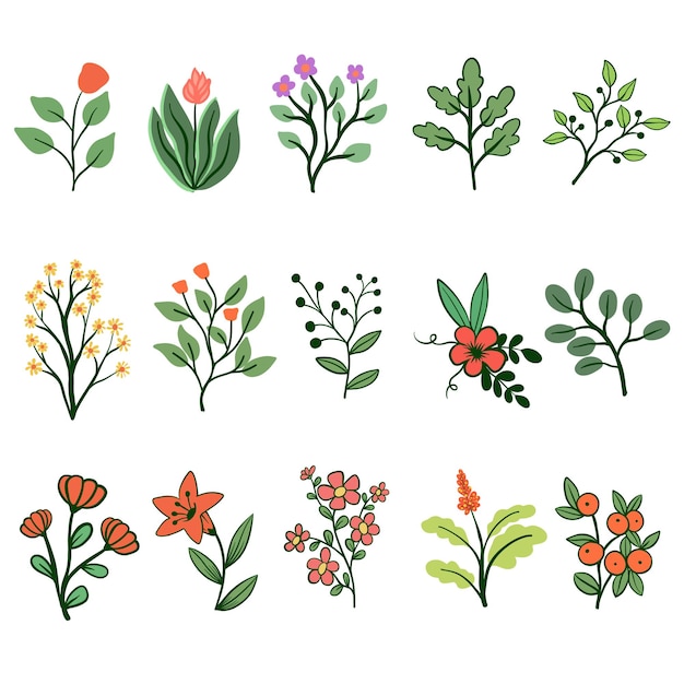 Vector collectie kruidenbladeren en wilde bloemen botanische bloemen set kleurige illustraties van wilde planten