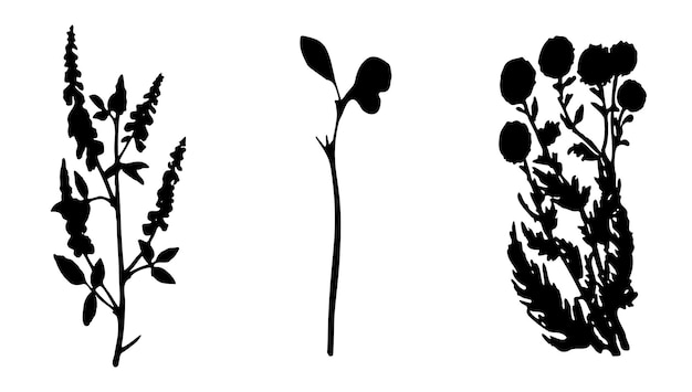 Collectie planten bloemen en kruiden zwarte silhouetten van planten