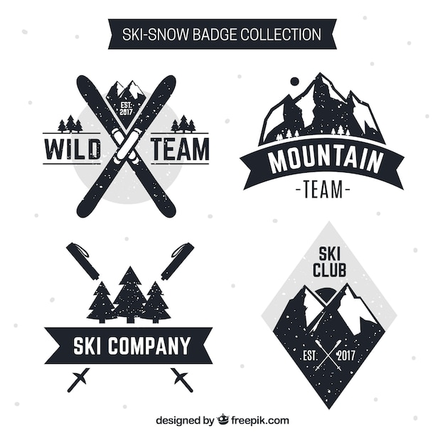 Vector collectie ski-insignes