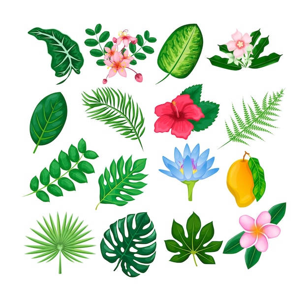 Collectie tropische bloemen en bladeren Tropische trendy zomerpalmbladeren en jungleblad