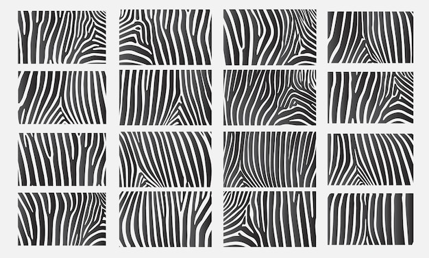 Collectie van 16 vector huid zebra textuur