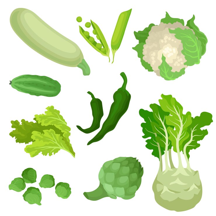 Vector collectie van biologische groene groenten.