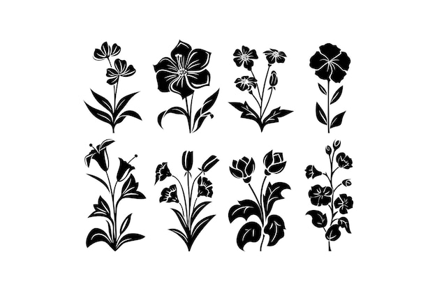 Collectie van Black Floral Botanical Vector illustratieontwerp