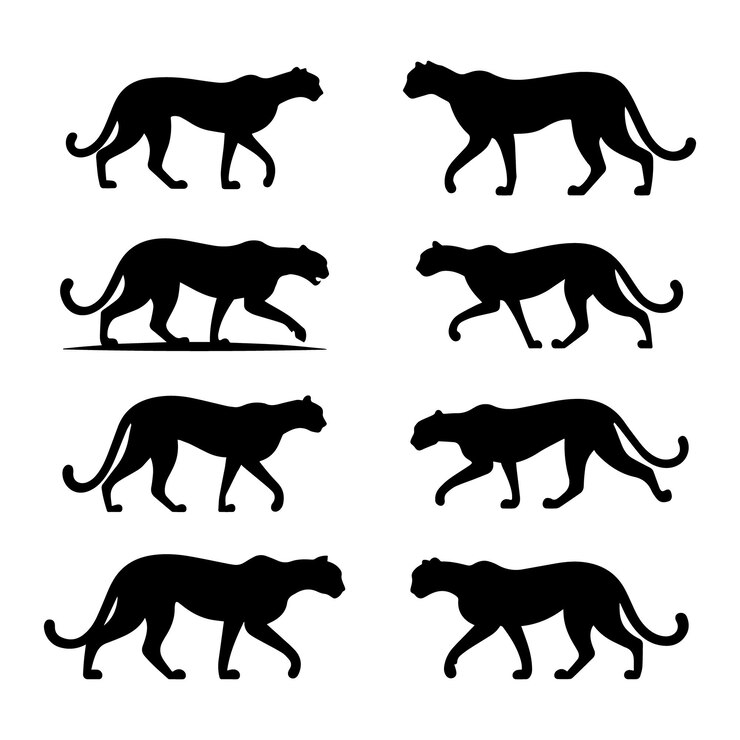 Vector collectie van cheetah silhouette vector