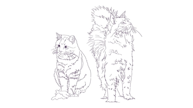 collectie van huisdier kat schets vectorillustraties. Lineart kattenschilderij voor zakelijke doeleinden