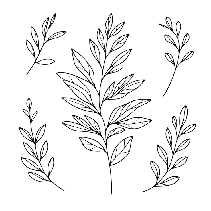 Vector collectie van minimalistische botanische lijnkunstelementen