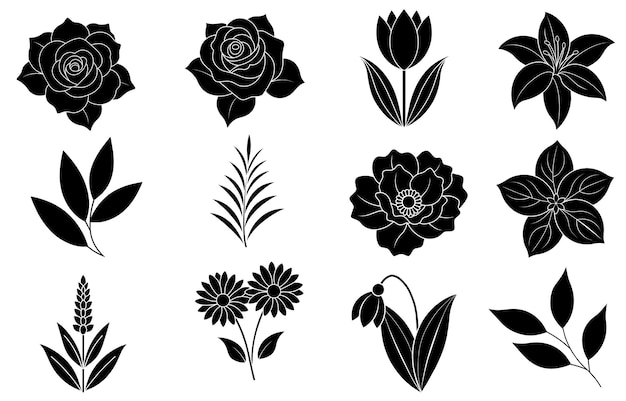 Vector collectie van silhouette bloemen- en bladelementen