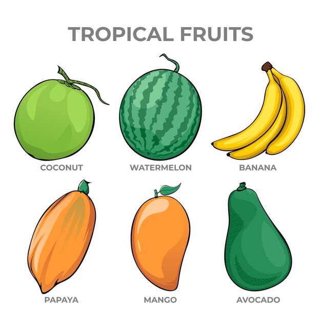 Vector collectie van tropisch fruit op witte achtergrond