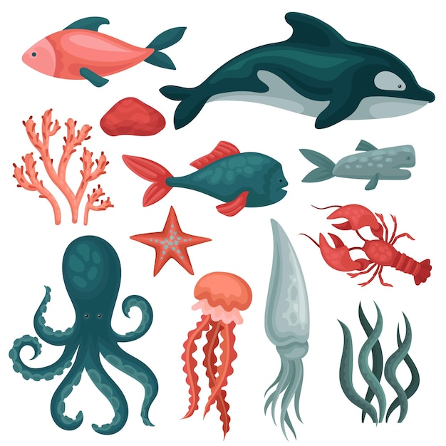 Collectie van verschillende zeedieren en objecten Vissen kwallen rode krab inktvis zee-ster zeewier en stenen Decoratieve grafische elementen voor kinderen boek Geïsoleerde platte vector iconen