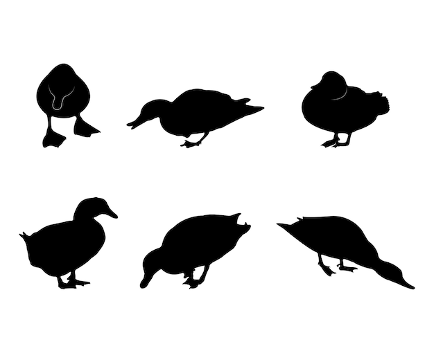 Collectie van zwarte silhouetten eenden