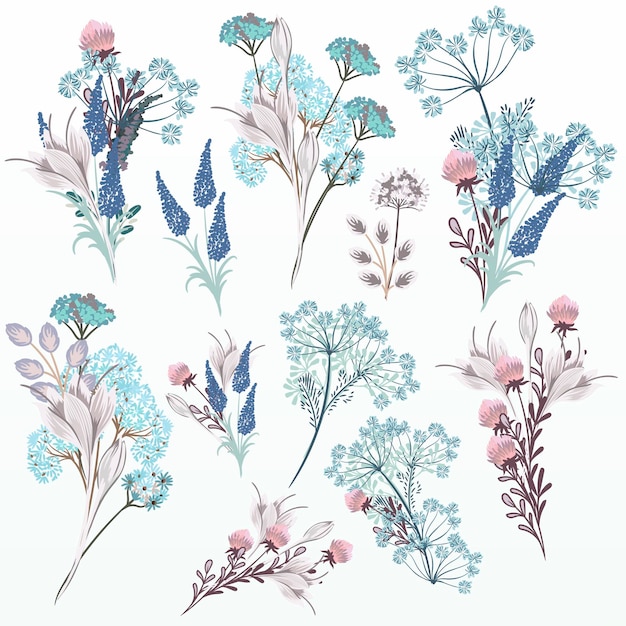 Collectie vector bloemen aquarellen in zachte kleuren