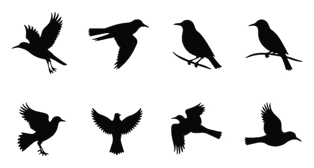 Collectie vectorillustraties van vogelsilhouetten