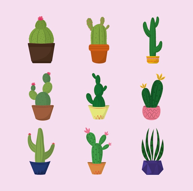 Collectie verschillende cactus in potten decoratie illustratie