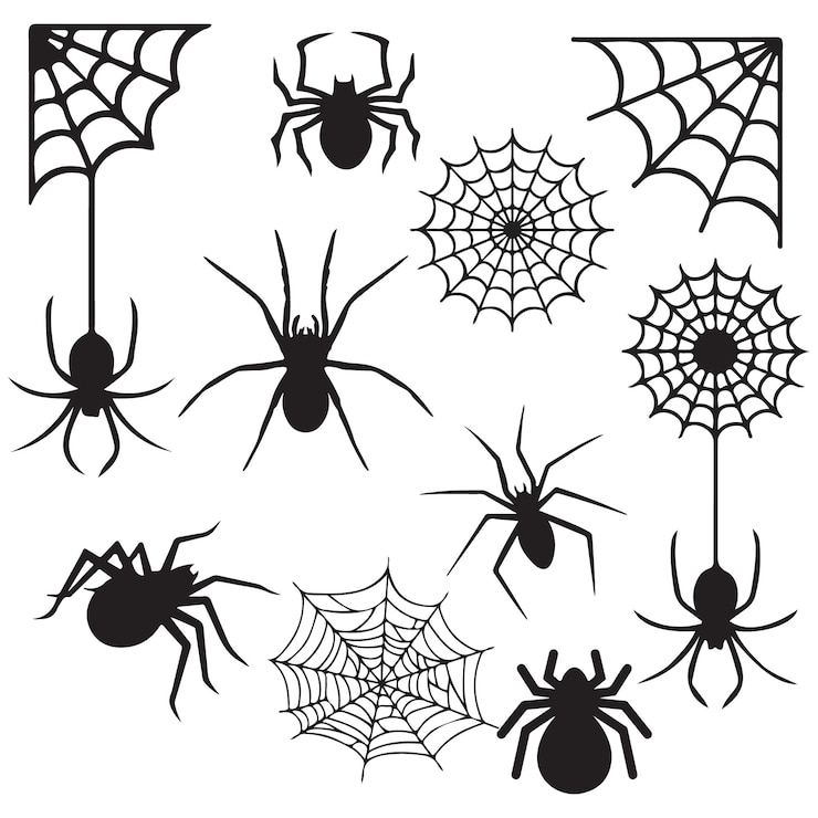 Vector collectie zwarte realistische spin vectorillustratie set griezelig gevaarlijk insect symbool