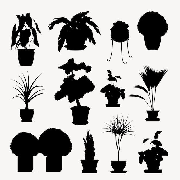 Collectio silhouettes of houseplants. Potted plants isolated on white