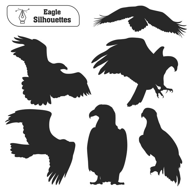 Vector collection of animal bird eagle silhouette in different poses