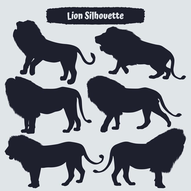 Vector collection of animal lion in different positions