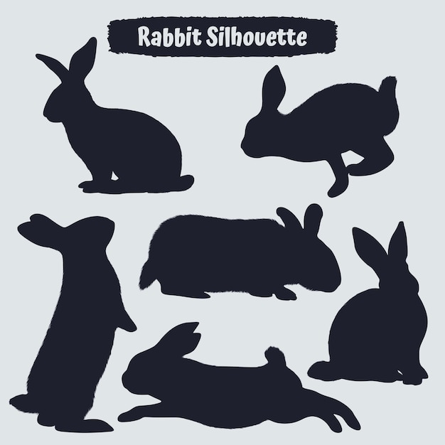 Collection of animal Rabbit in different positions