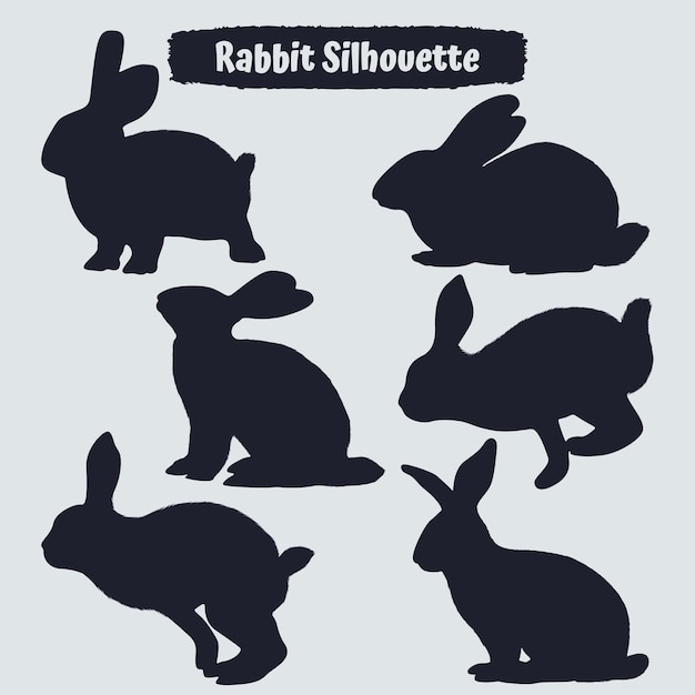 Collection of animal Rabbit in different positions