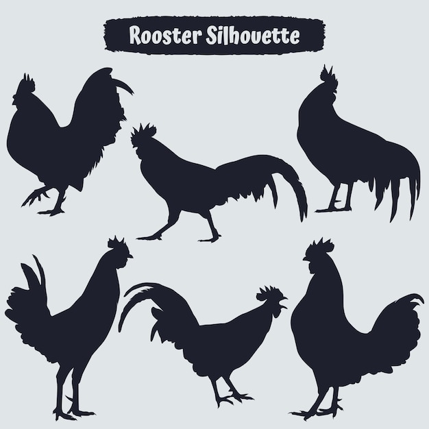 Vector collection of animal rooster silhouette in different poses