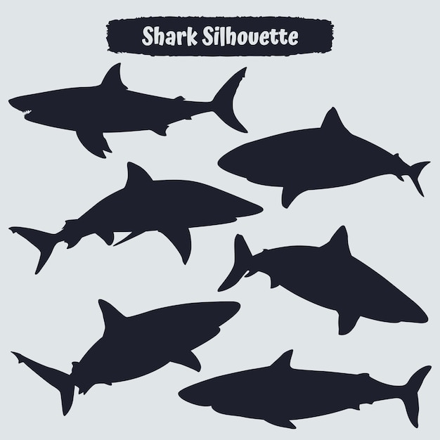 Collezione di animali shark silhouette in diverse pose