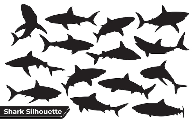 Collection of animal Shark Silhouette in different poses