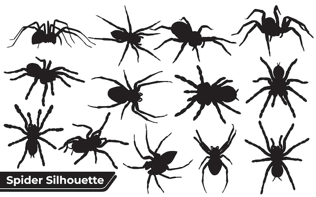 Collezione di animali spider silhouette in diverse pose