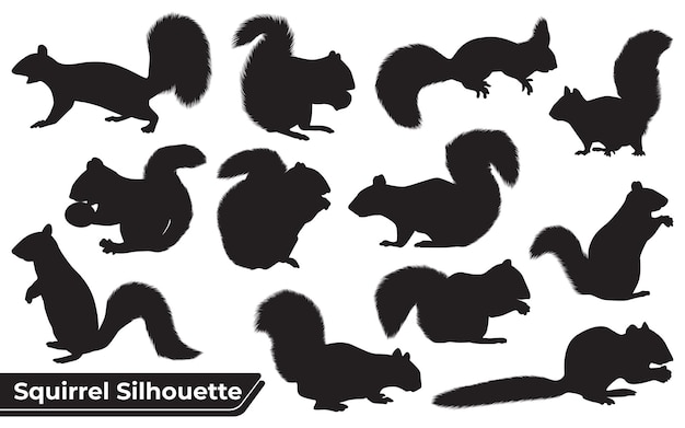 Vector collection of animal squirrel silhouette vector