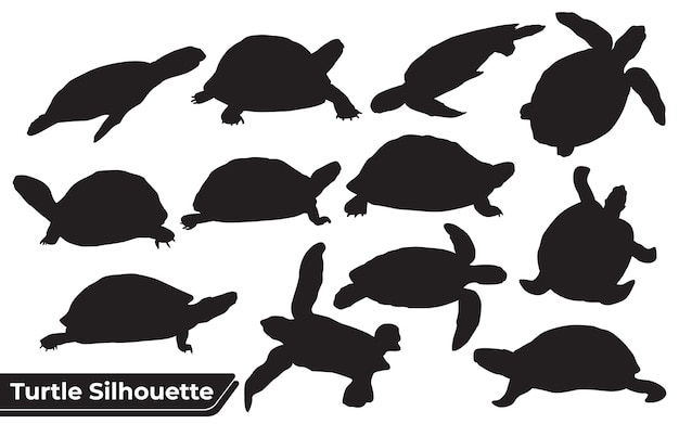 Vector collection of animal turtle silhouette in different poses