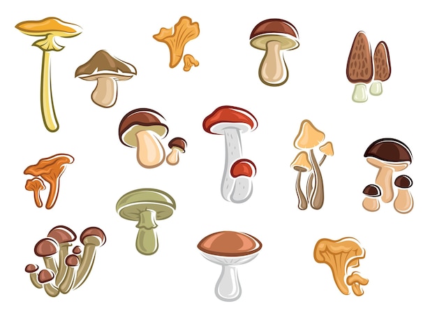 Raccolta di funghi, funghi e funghi colorati assortiti dei cartoni animati